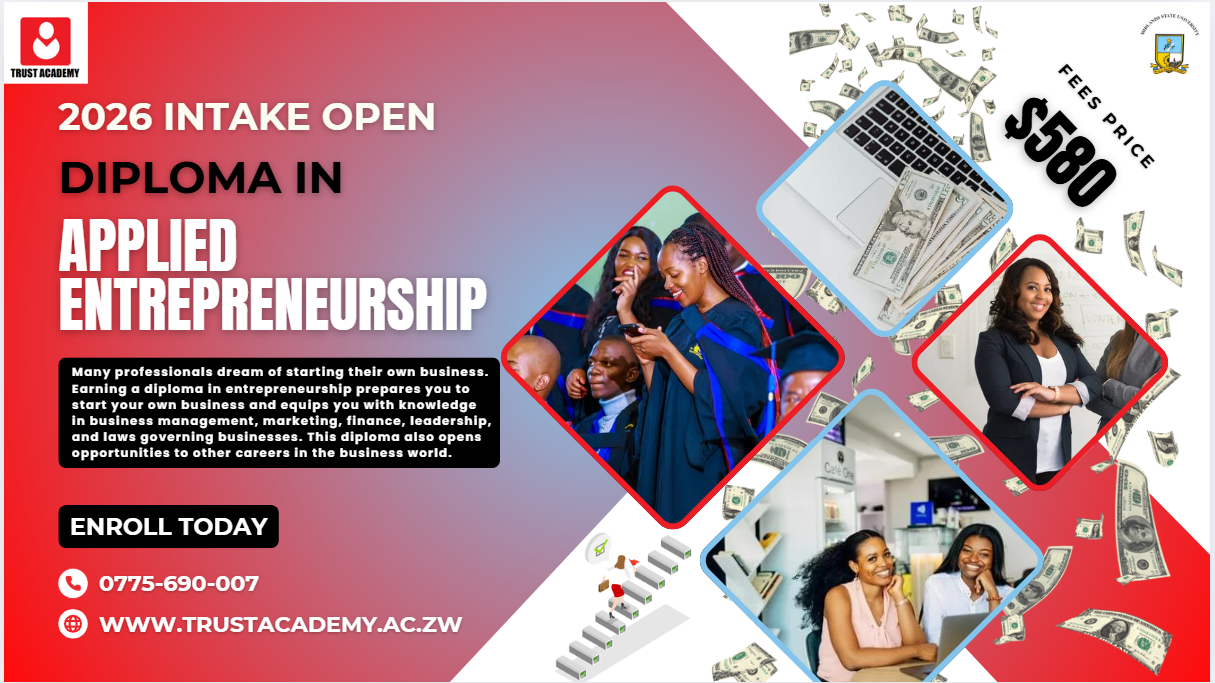 Entrepreneurship Diploma at Trust Academy