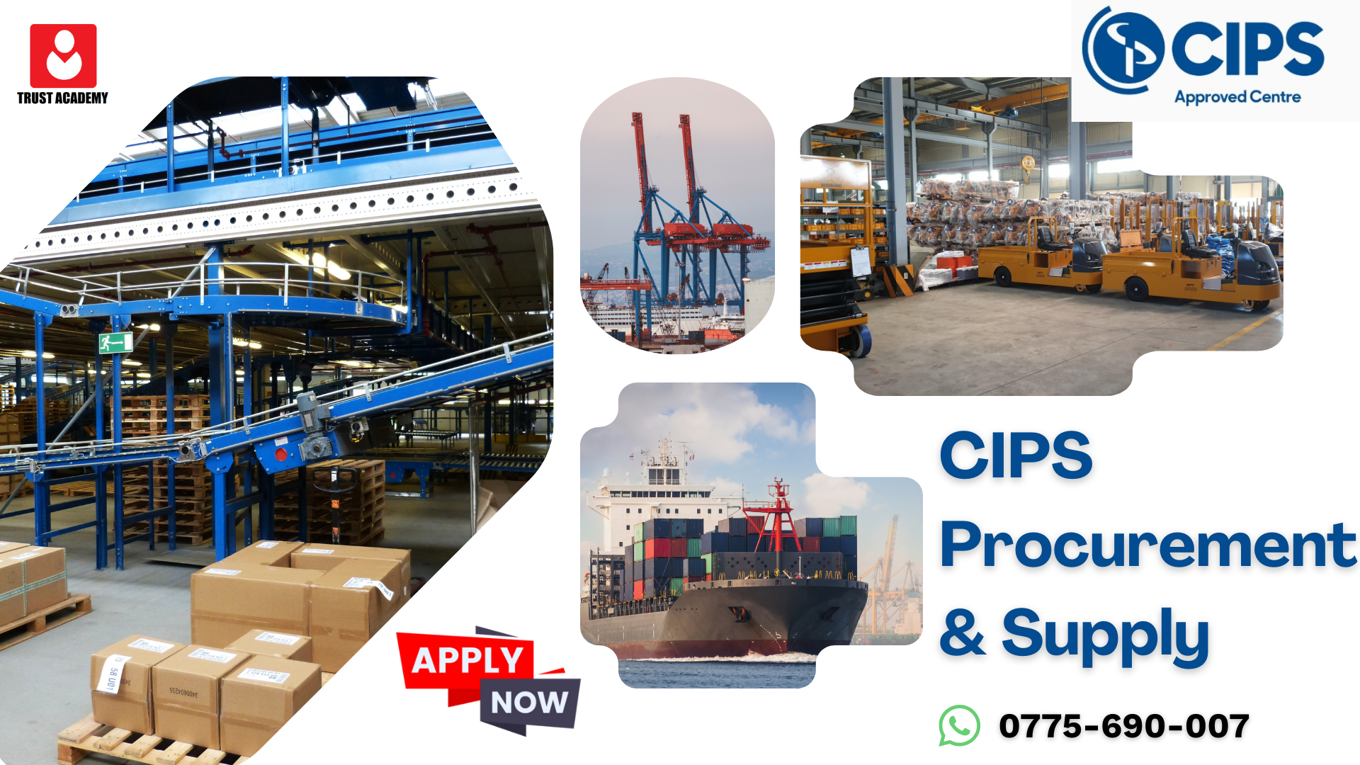 CIPS Procurement and Supply